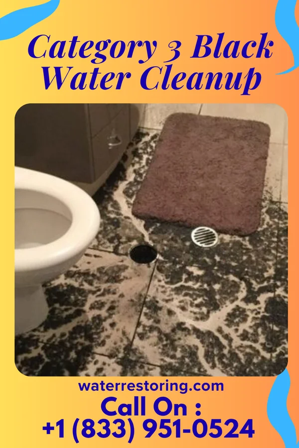 Category 3 Black Water Cleanup in Seton Village, NM