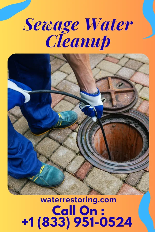 Sewage Water Cleanup in Seton Village, NM