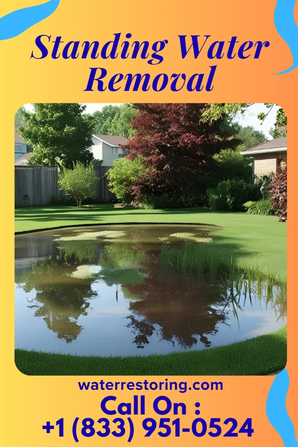 Standing Water Removal in Seton Village, NM